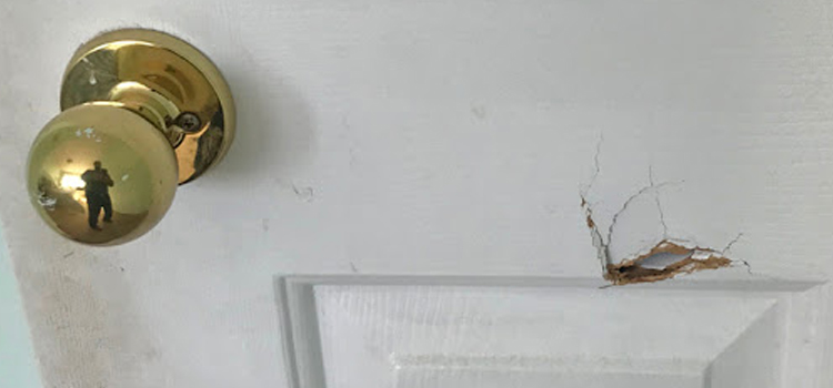 interior door hole repair Patterson